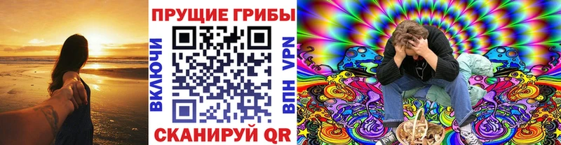 Псилоцибиновые грибы GOLDEN TEACHER  наркотики  МЕГА ссылки  Калач 
